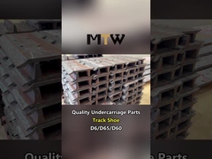 गुणवत्ता अंडरवियर पार्ट्स ट्रैक शू